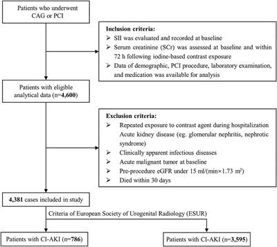 Systemic Immune-Inflammation Index Predicts Contrast-Induced Acute Kidney Injury in Patients Undergoing Coronary Angiography: A Cross-Sectional Study